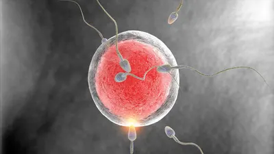 Laber Sławomir, lekarz medycyny